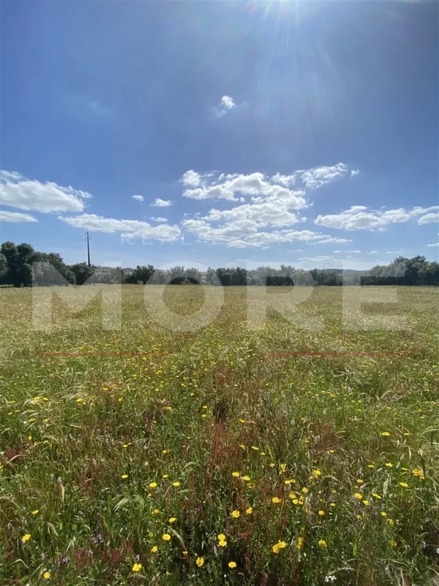 Terreno para Venda em Alcaçovas Foto 2