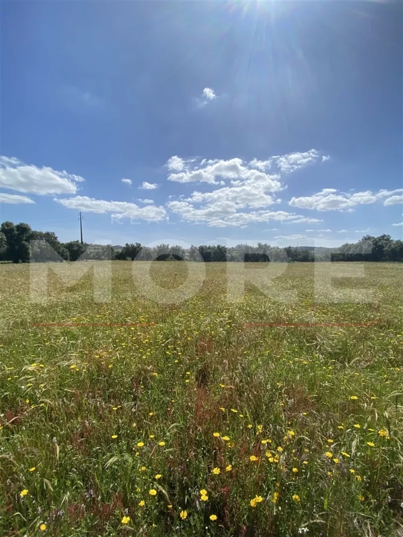 Terreno para Venda em Alcaçovas Foto 2