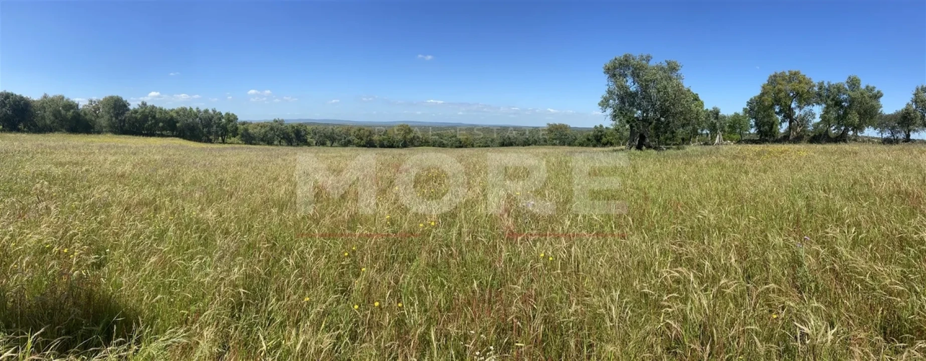 Terreno para Venda em Alcaçovas Foto 9