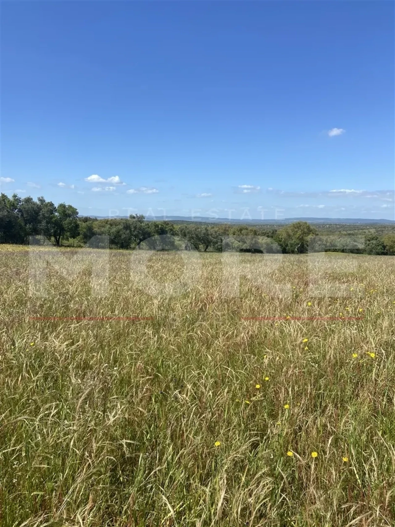 Terreno para Venda em Alcaçovas Foto 7