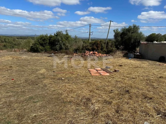Terreno para Venda em Alcaçovas Foto 6