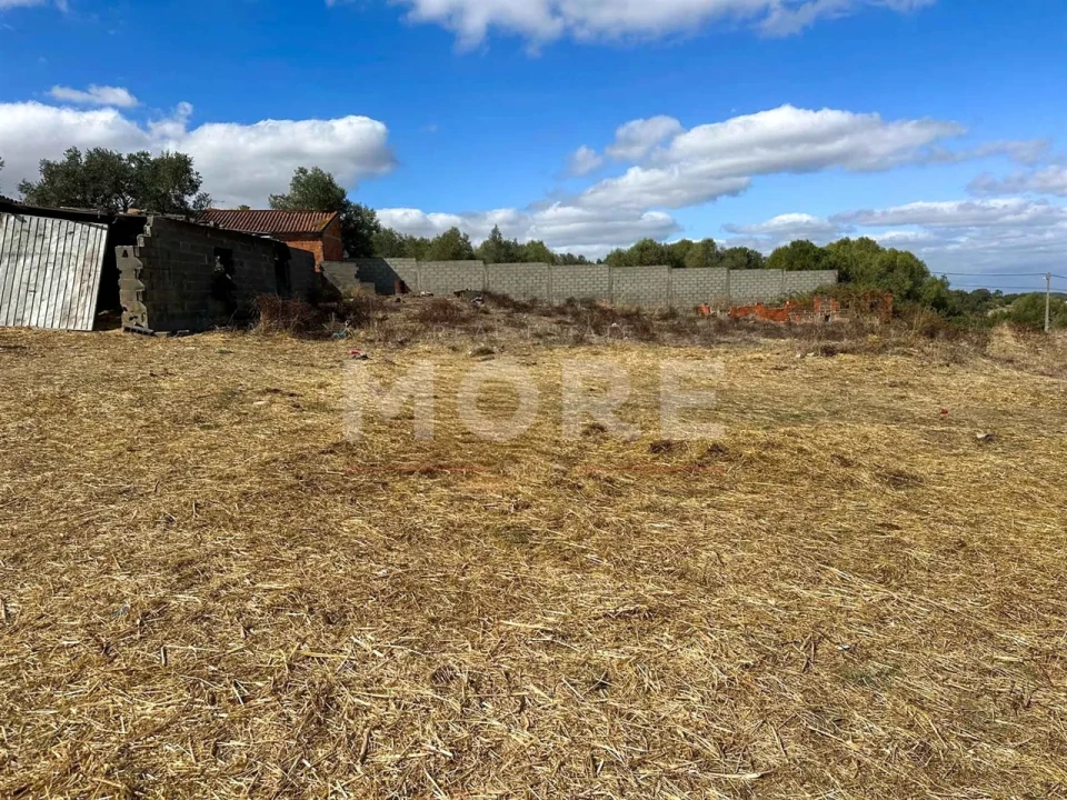 Terreno para Venda em Alcaçovas Foto 5