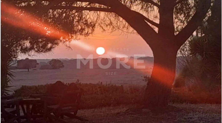 Negócio para Venda em Alcaçovas Foto 52