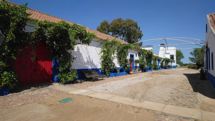 Negócio para Venda em Alcaçovas Foto 43