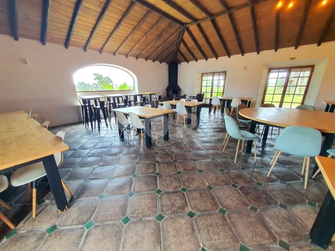 Negócio para Venda em Alcaçovas Foto 11
