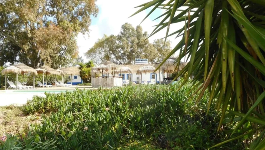 Negócio para Venda em Alcaçovas Foto 50