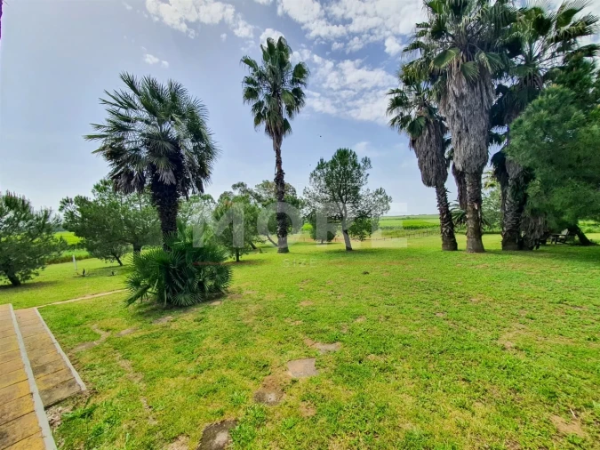 Negócio para Venda em Alcaçovas Foto 32