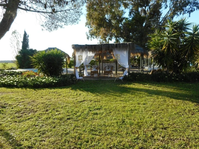 Negócio para Venda em Alcaçovas Foto 42