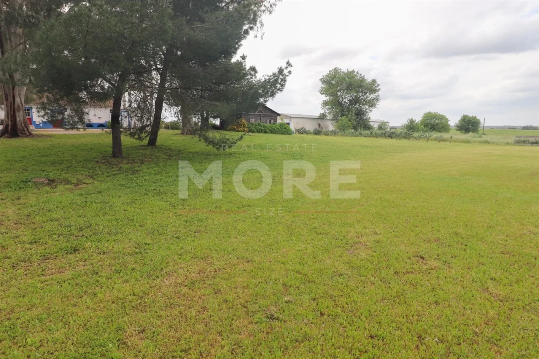 Negócio para Venda em Alcaçovas Foto 37