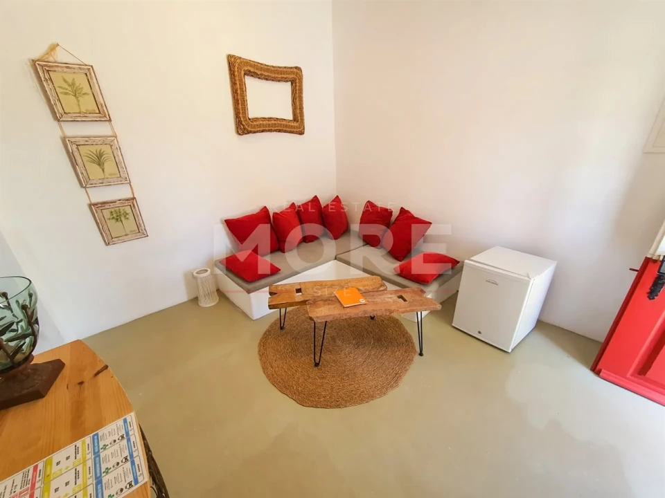 Negócio para Venda em Alcaçovas Foto 29