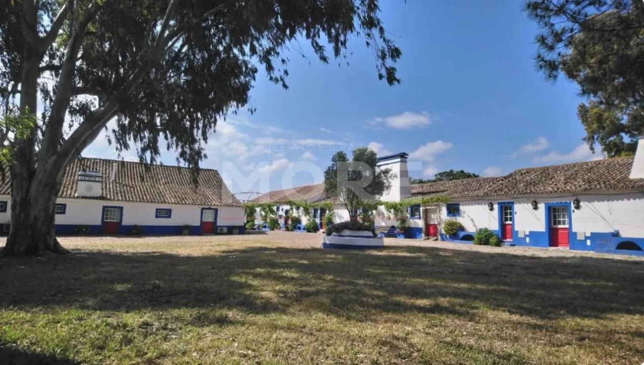 Negócio para Venda em Alcaçovas Foto 54