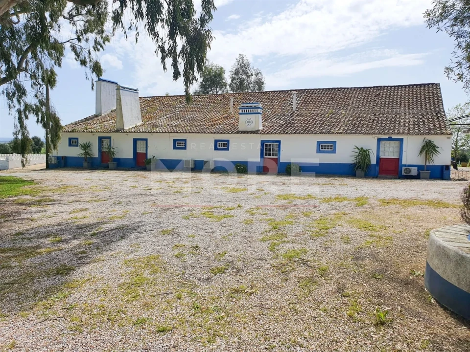 Negócio para Venda em Alcaçovas Foto 3