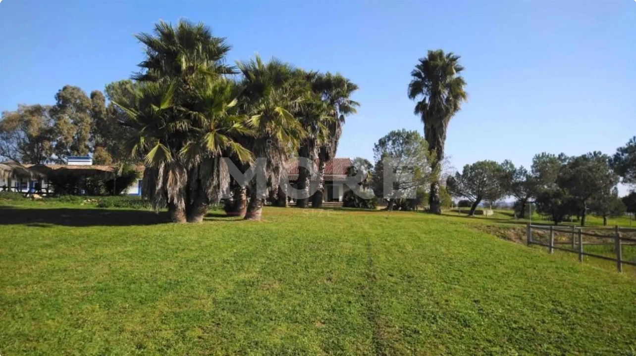 Negócio para Venda em Alcaçovas Foto 38