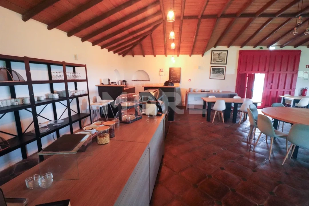 Negócio para Venda em Alcaçovas Foto 13