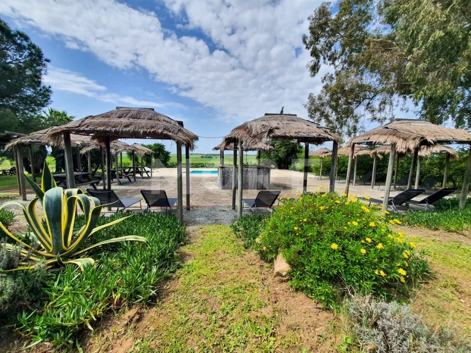 Negócio para Venda em Alcaçovas Foto 35