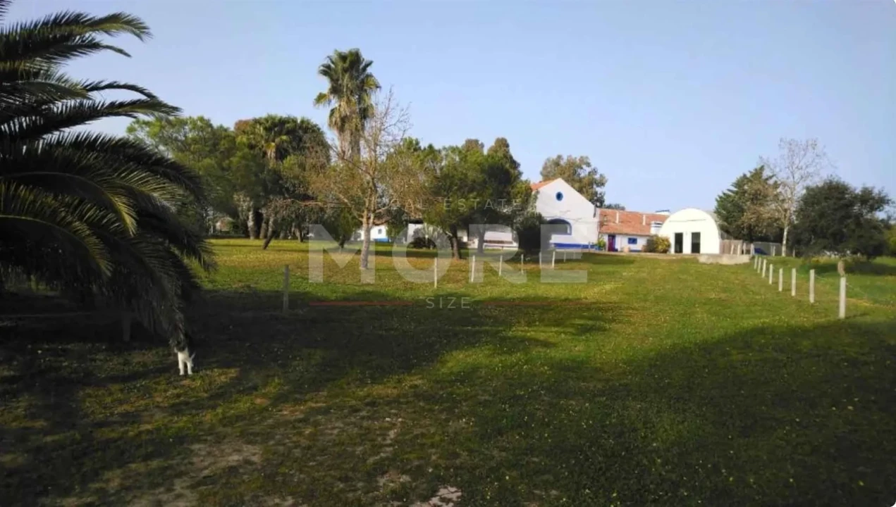 Negócio para Venda em Alcaçovas Foto 51