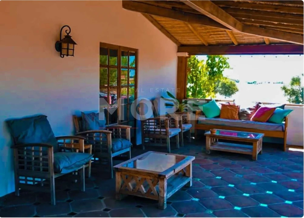 Negócio para Venda em Alcaçovas Foto 55