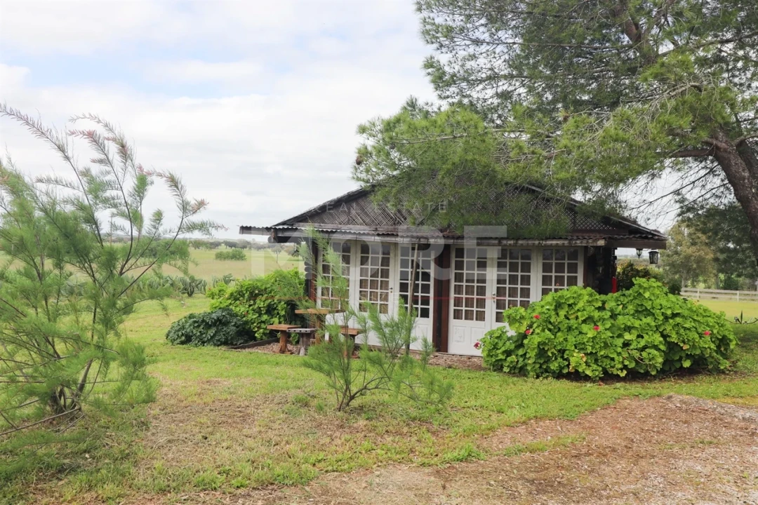 Negócio para Venda em Alcaçovas Foto 34