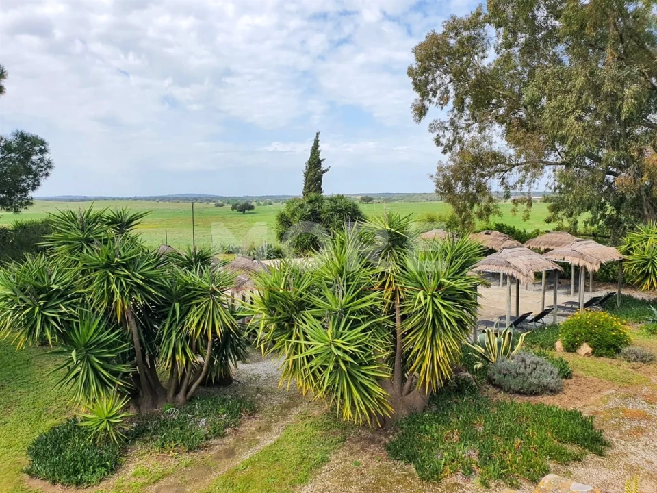 Negócio para Venda em Alcaçovas Foto 31