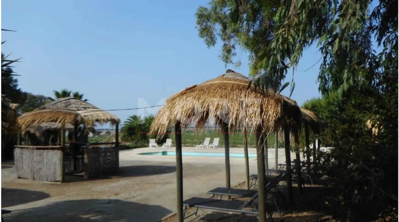 Negócio para Venda em Alcaçovas Foto 40