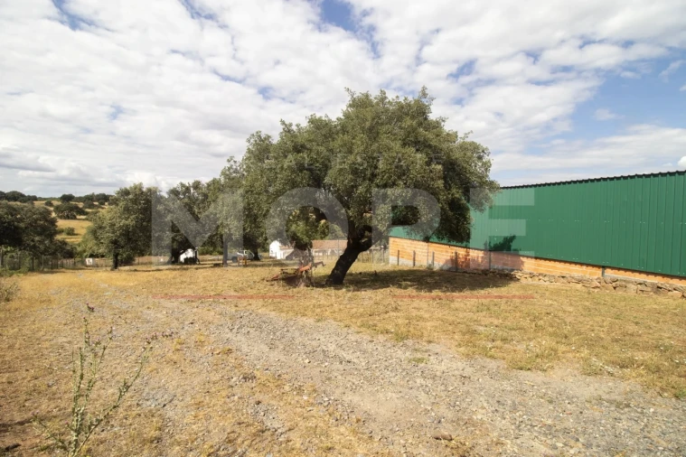 Quinta T0 para Venda em Alvito Foto 56