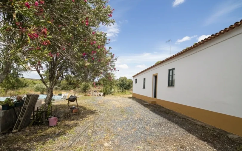 Quinta T0 para Venda em Alvito Foto 3