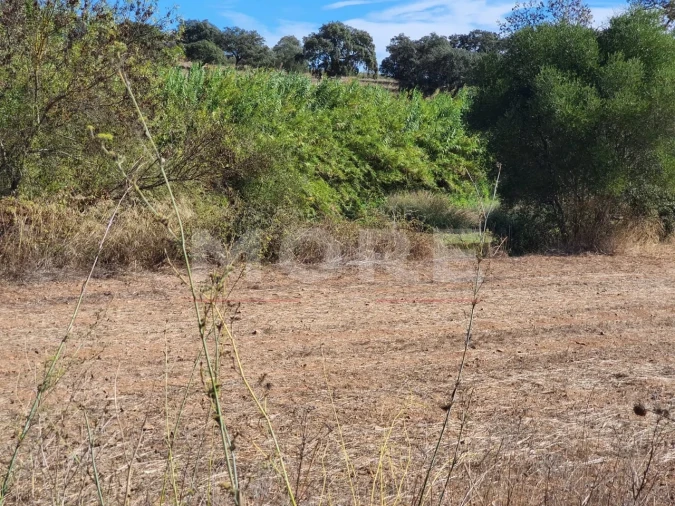 Quinta T0 para Venda em Alvito Foto 62