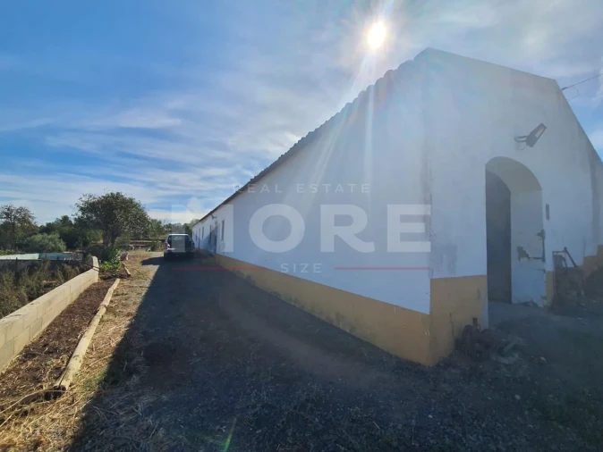 Quinta T0 para Venda em Alvito Foto 34