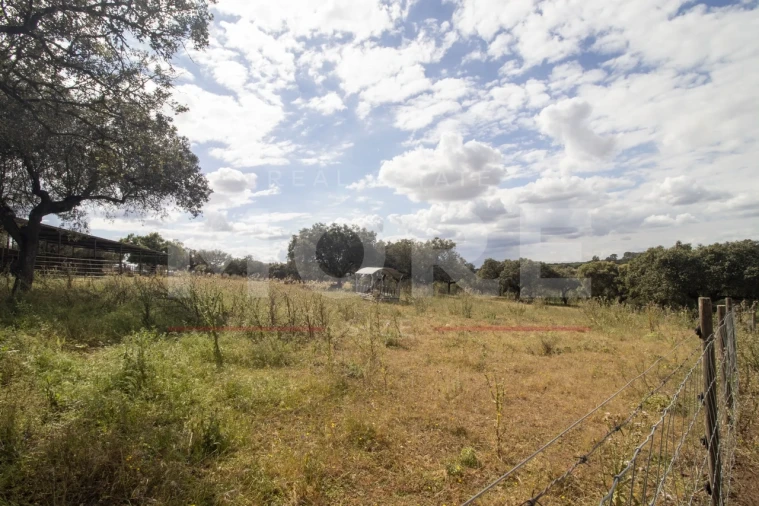 Quinta T0 para Venda em Alvito Foto 55