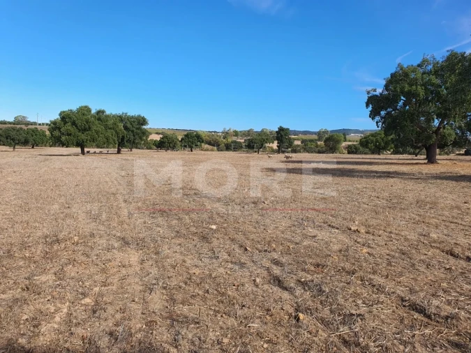 Quinta T0 para Venda em Alvito Foto 64