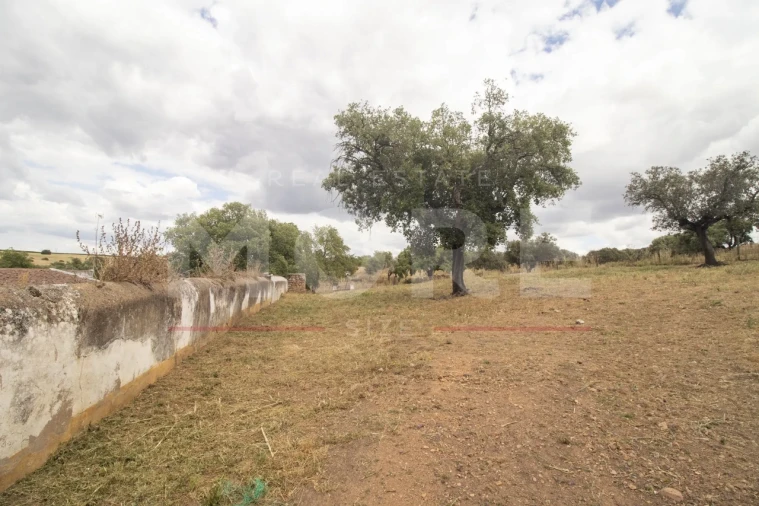 Quinta T0 para Venda em Alvito Foto 42