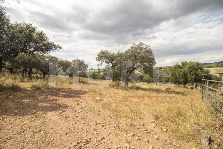 Quinta T0 para Venda em Alvito Foto 47