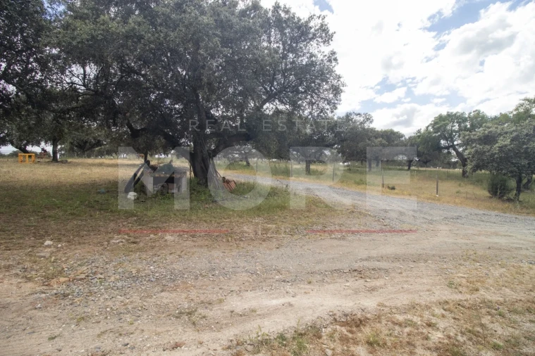 Quinta T0 para Venda em Alvito Foto 41