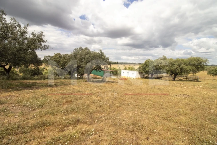 Quinta T0 para Venda em Alvito Foto 45