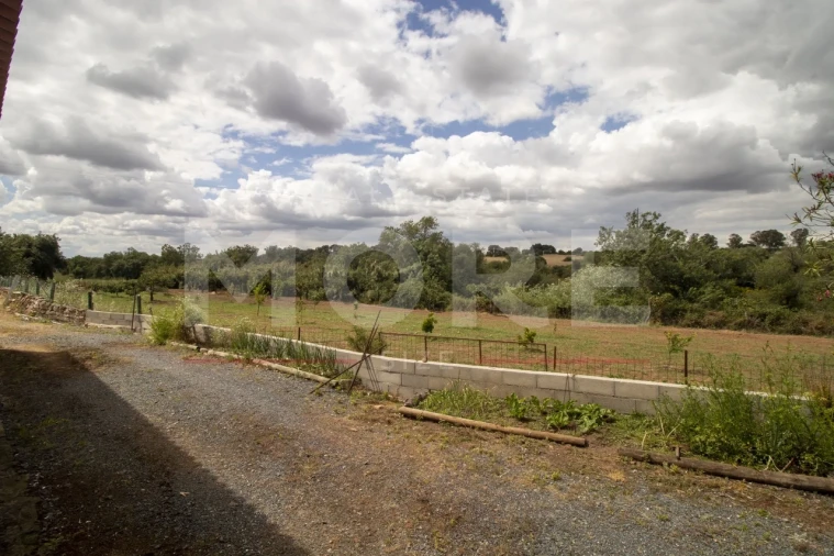 Quinta T0 para Venda em Alvito Foto 39