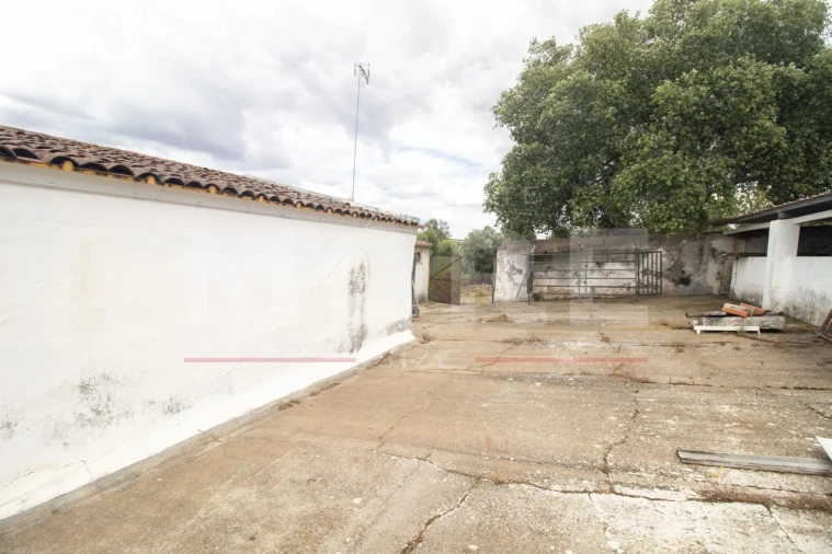 Quinta T0 para Venda em Alvito Foto 31