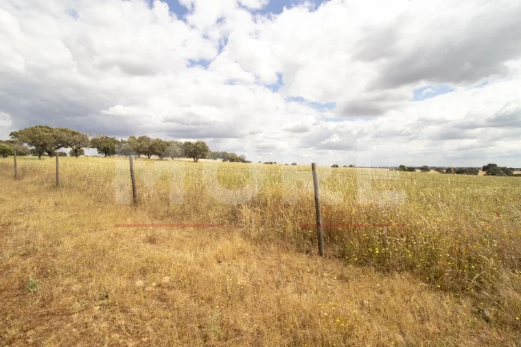 Quinta T0 para Venda em Alvito Foto 49