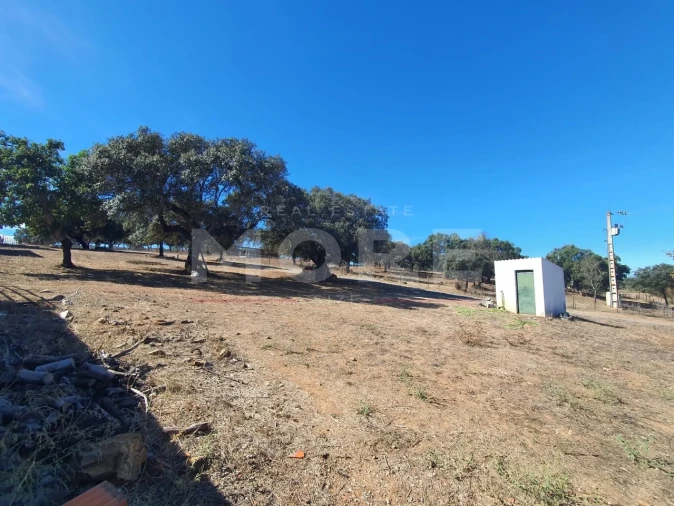 Quinta T0 para Venda em Alvito Foto 61