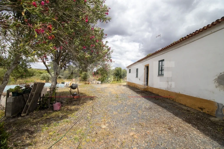 Quinta T0 para Venda em Alvito Foto 15