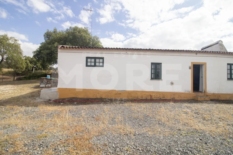 Quinta T0 para Venda em Alvito Foto 16