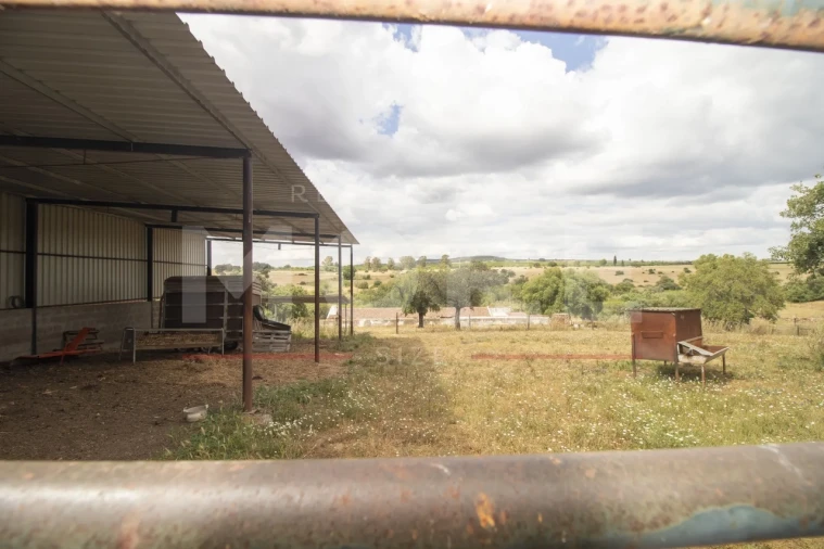 Quinta T0 para Venda em Alvito Foto 44