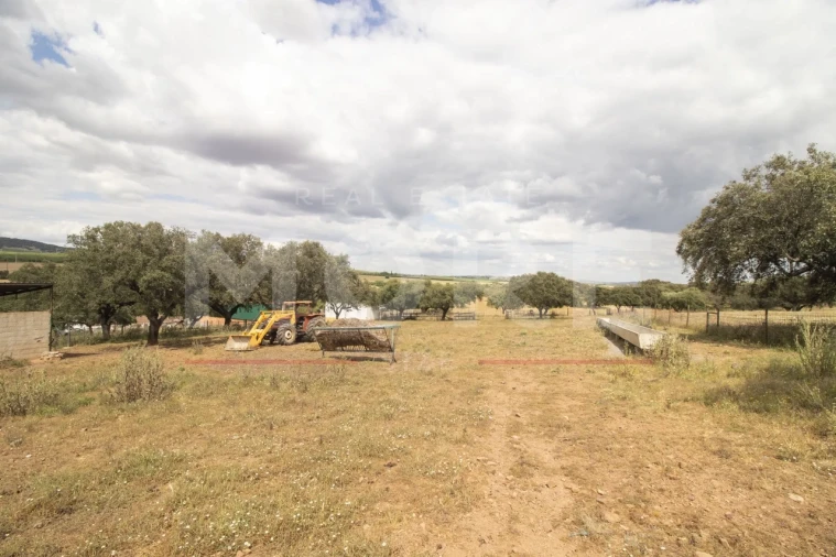 Quinta T0 para Venda em Alvito Foto 46