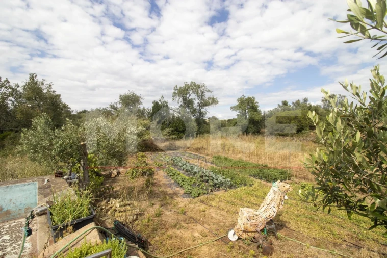 Quinta T0 para Venda em Alvito Foto 38