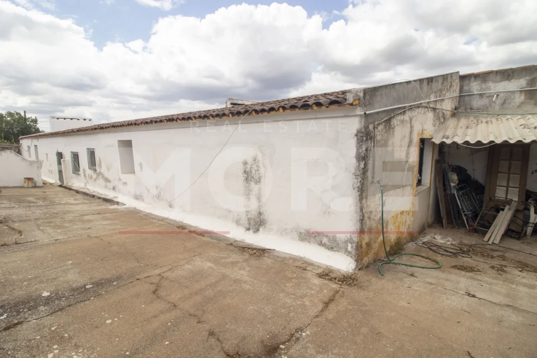 Quinta T0 para Venda em Alvito Foto 32