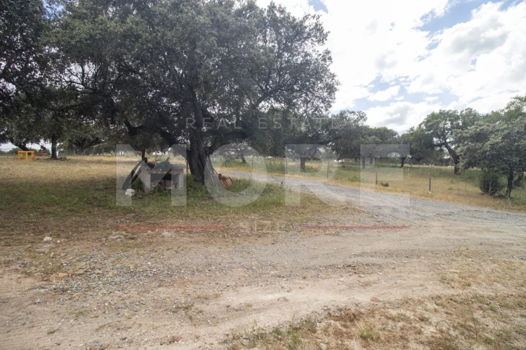 Quinta T0 para Venda em Alvito Foto 41