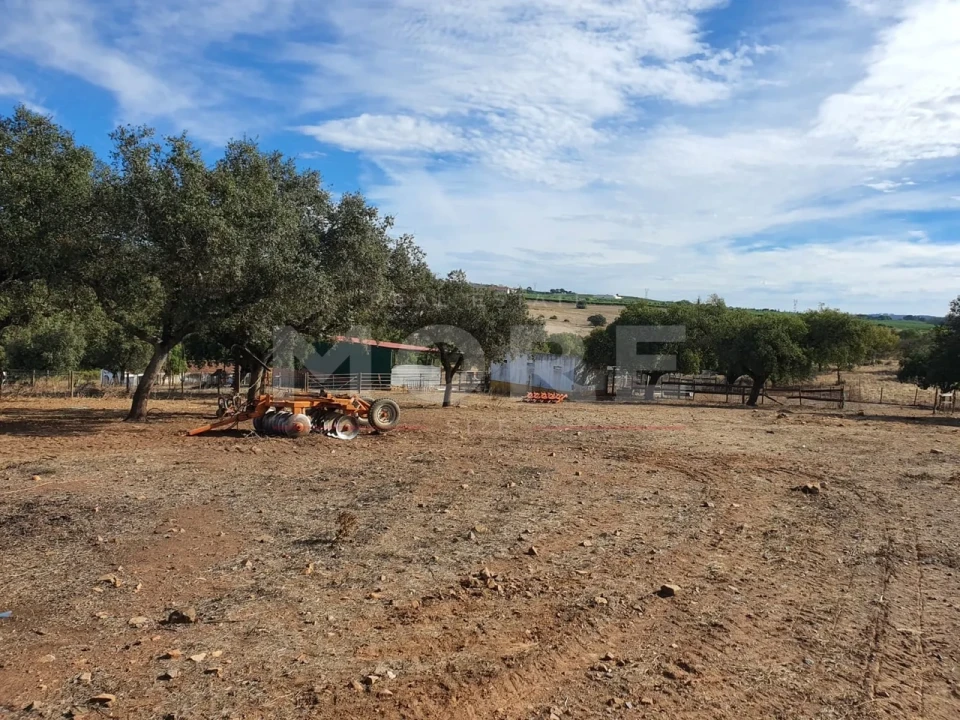 Quinta T0 para Venda em Alvito Foto 73