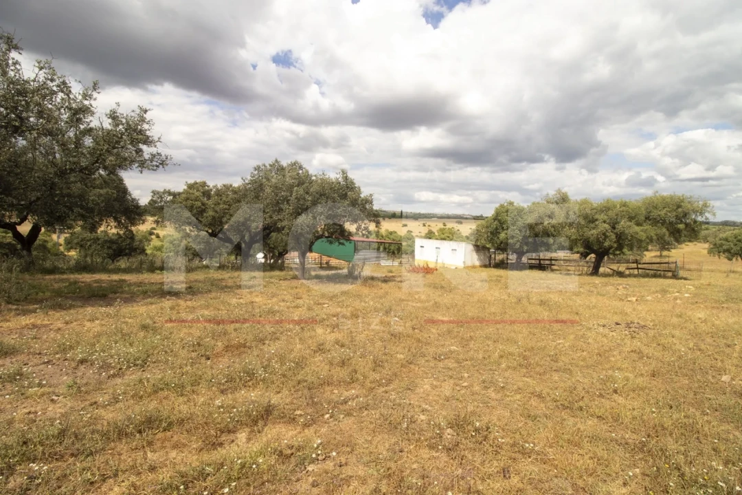 Quinta T0 para Venda em Alvito Foto 45