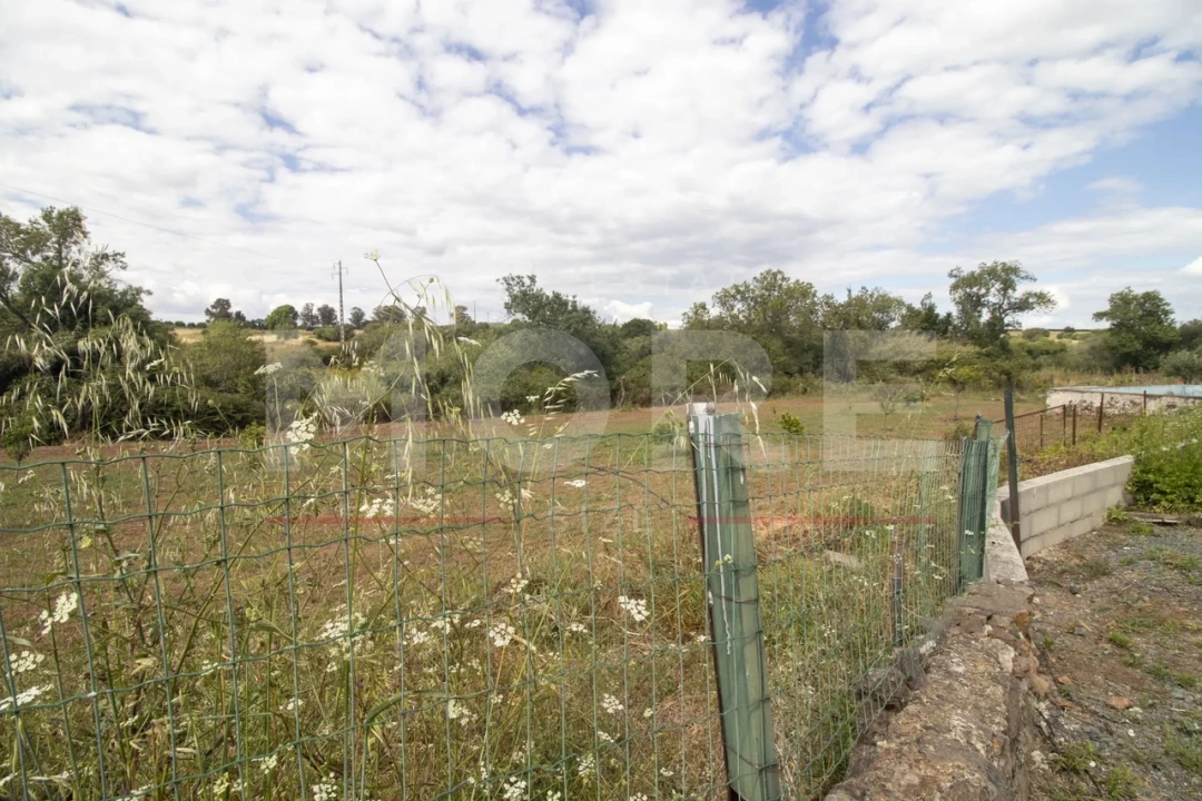 Quinta T0 para Venda em Alvito Foto 57