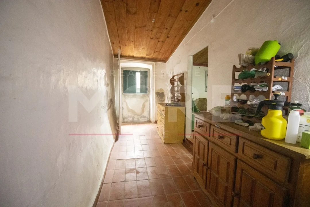 Quinta T0 para Venda em Alvito Foto 8