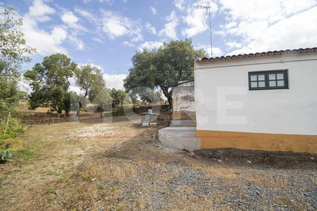 Quinta T0 para Venda em Alvito Foto 5